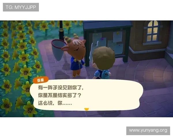 亚星游戏会员登录流程详解及常见问题解决方案全攻略