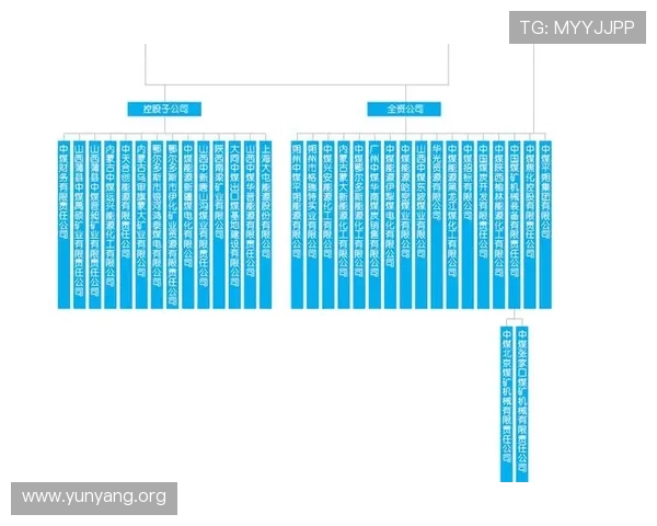 亚星线缆集团有限公司简介：公司历史沿革与未来发展战略分析