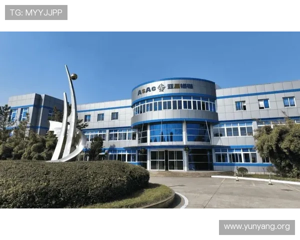 亚星公司总部位置对供应链管理和物流效率的促进作用